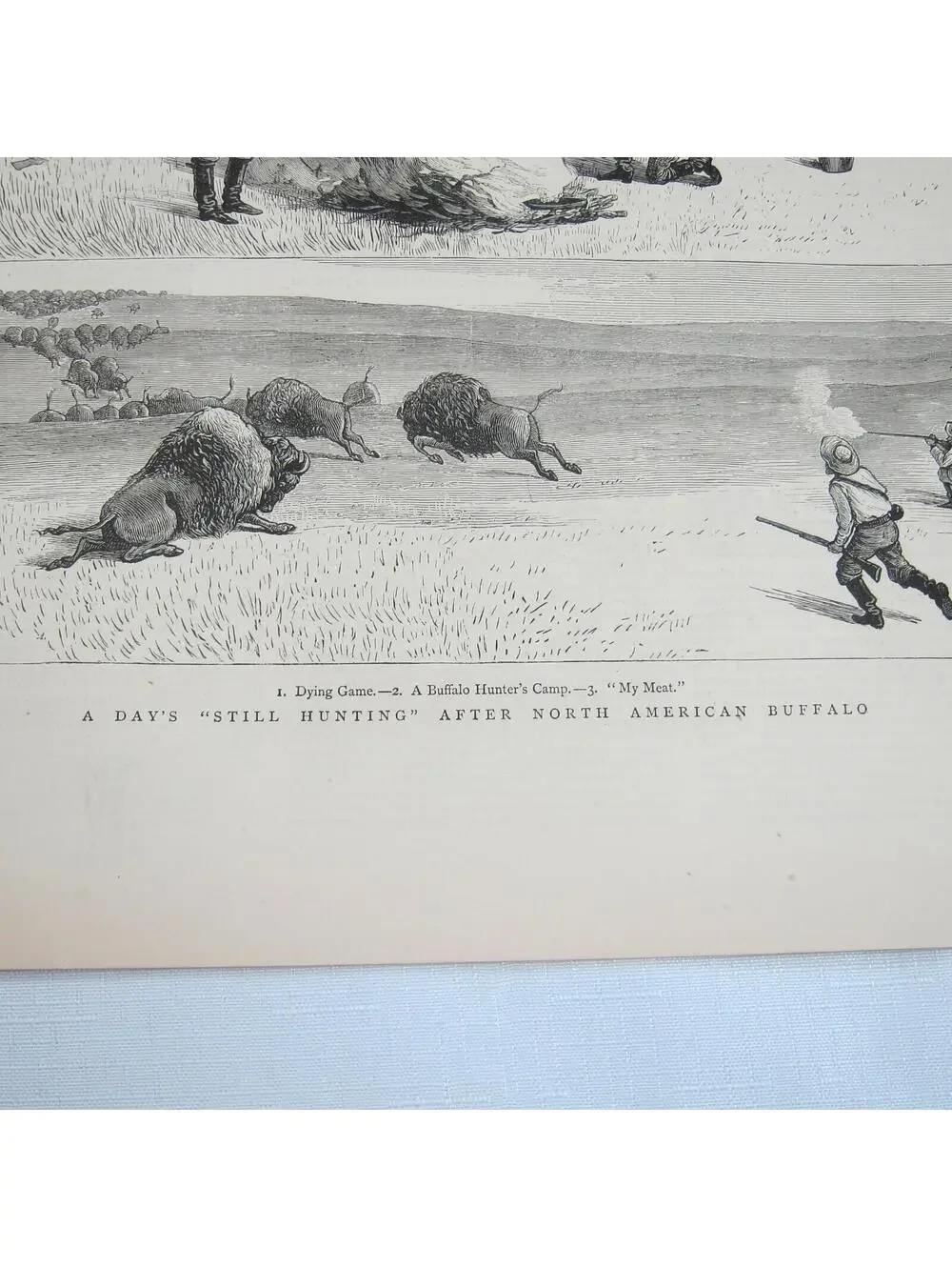 Antique 1877 Print A Days Still Hunting After North American Buffalo The Graphic
